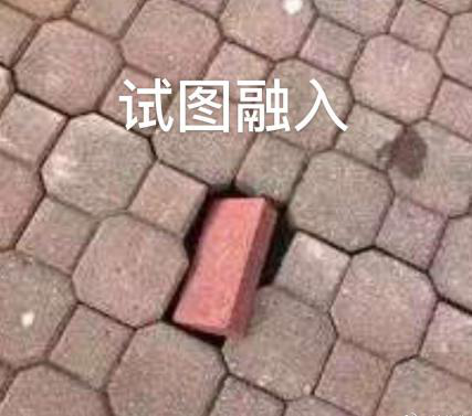 新華互聯(lián)網(wǎng)科技正式入駐Bilibili！會摩擦出什么樣火花呢？